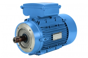 SINGLE PHASE AC MOTOR (CAPACITOR START/CAPACITOR RUN MOTORS-EL. RELAY)