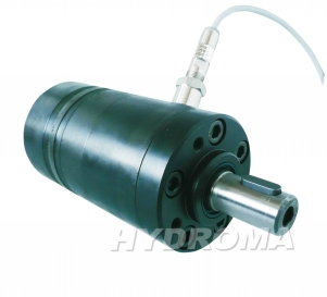 HYDRAULIC MOTOR