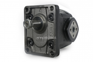 CAST IRON GEAR PUMP