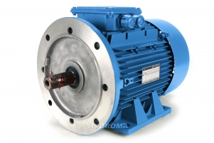 THREE PHASE AC MOTOR