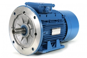 THREE PHASE AC MOTOR