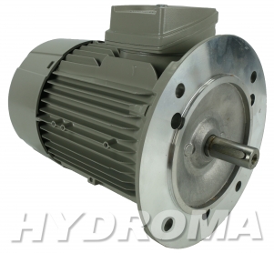 THREE PHASE AC MOTOR