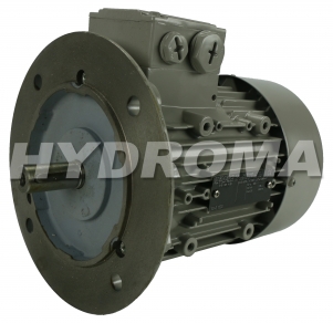 THREE PHASE AC MOTOR