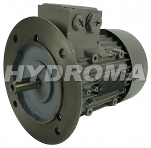 THREE PHASE AC MOTOR