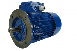 THREE PHASE AC MOTOR