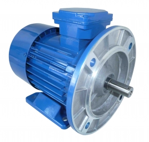 THREE PHASE AC MOTOR