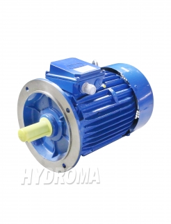 THREE PHASE AC MOTOR