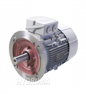 THREE PHASE AC MOTOR