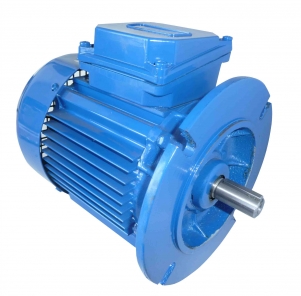 THREE PHASE AC MOTOR