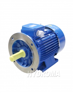 THREE PHASE AC MOTOR