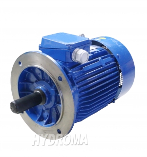 THREE PHASE AC MOTOR