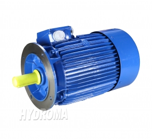 THREE PHASE AC MOTOR