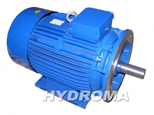 THREE PHASE AC MOTOR