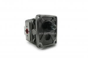 CAST IRON GEAR PUMP