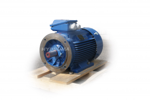 AC MOTOR