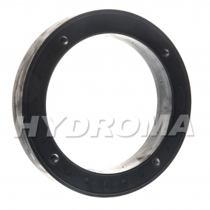 DAMPING RING