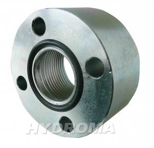 STEEL FLANGE