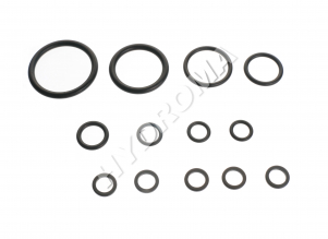 REGULATOR SEALING KIT