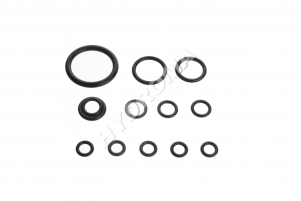 REGULATOR SEALING KIT