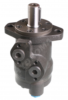 HYDRAULIC MOTOR