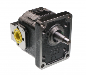 CAST IRON GEAR PUMP