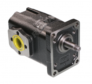 CAST IRON GEAR PUMP