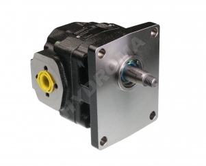 CAST IRON GEAR MOTOR