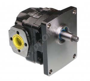 CAST IRON GEAR PUMP