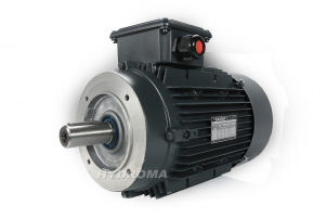 THREE PHASE AC MOTOR WITH CANOPY