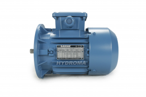 THREE PHASE AC MOTOR