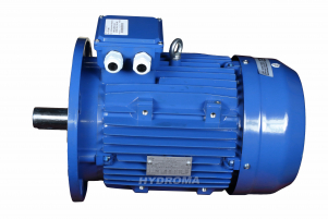 AC MOTOR