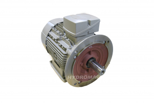 AC MOTOR