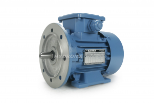 THREE PHASE AC MOTOR