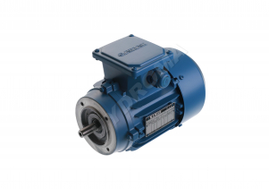 THREE PHASE AC MOTOR