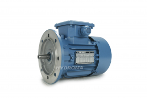 THREE PHASE AC MOTOR