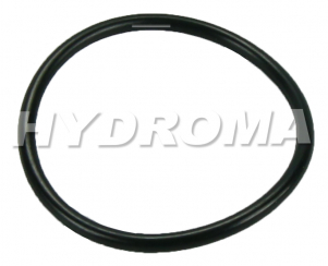 O-RING
