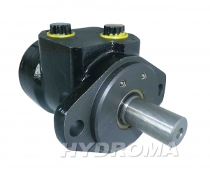 HYDRAULIC MOTOR