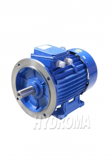 THREE PHASE AC MOTOR