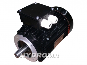 THREE PHASE AC MOTOR