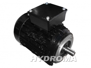 THREE PHASE AC MOTOR