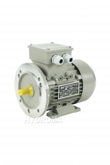 THREE PHASE AC MOTOR